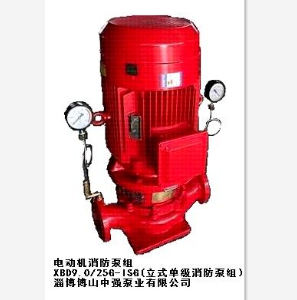 XBD9.0/25G-ISG立式单级消防泵